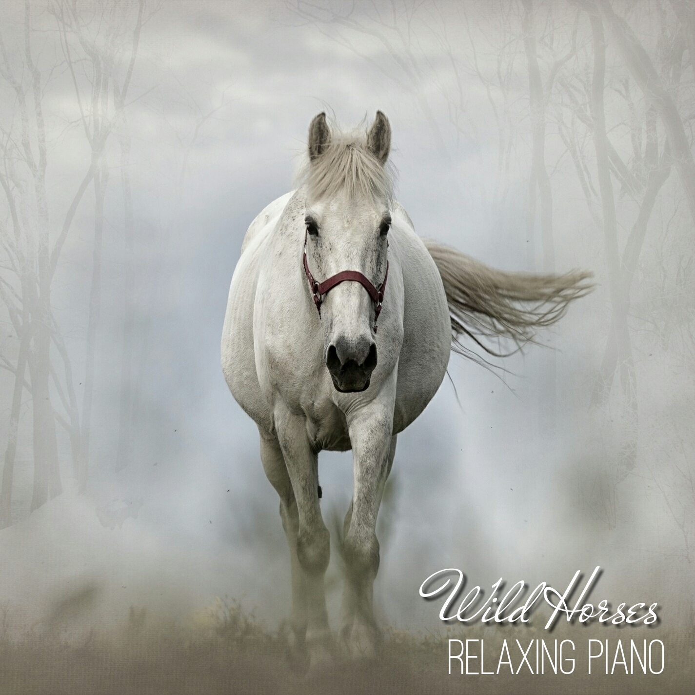Diez años munición Regularmente Wild Horses Relaxing Piano Mp3 Music Download | Music2relax.com