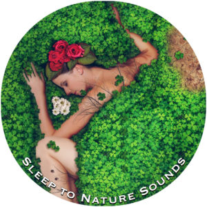 Play and Download sleep to nature sounds mp3