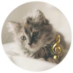 download classical music for cats