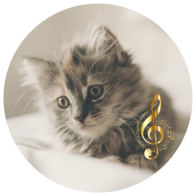 classical-music-for-cats-mp3-download-music2relax