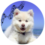 download Classical Music for Dog