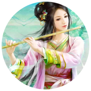 Beautiful chinese music store instrument mp3