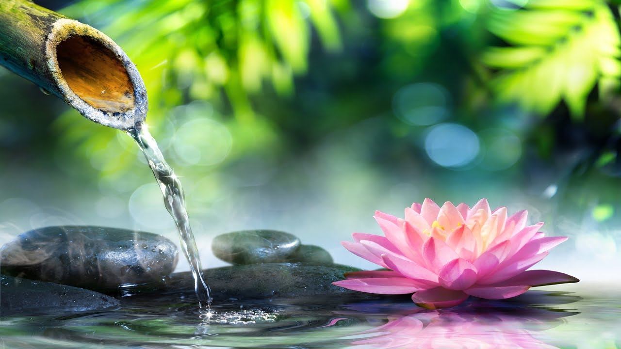 Zen Spa Music, Soothing Music for Mind Body \u0026 Soul | Music2relax.com